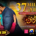 Tere Bin Episode 29