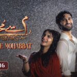 Meem Se Mohabbat - Episode 16